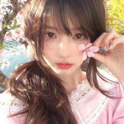 树袋熊